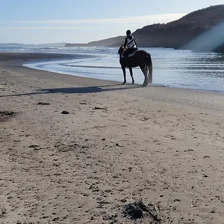 N0 2 Greystones Clock Tower * Leap