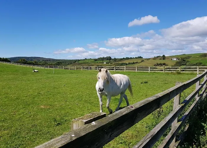 Casa vacanze N0 2 Greystones Clock Tower *