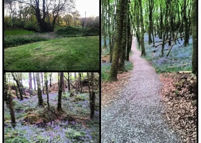 N0 2 Greystones Clock Tower Casa vacanze Leap