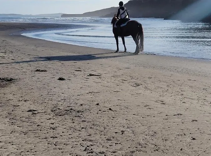 N0 2 Greystones Clock Tower * Leap
